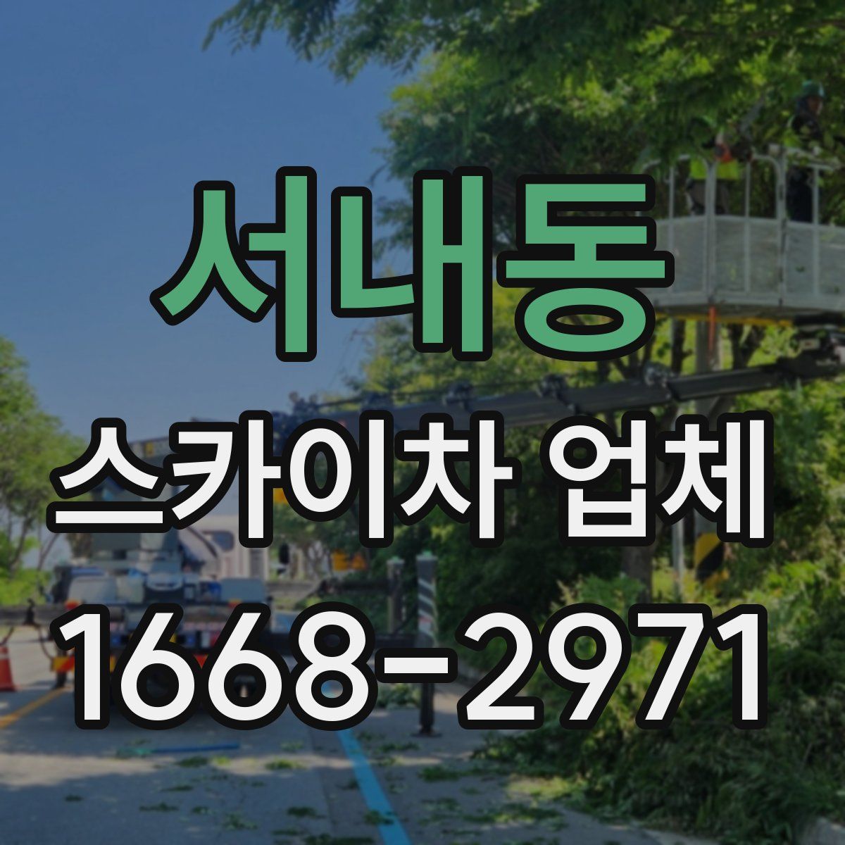 서내동 스카이차 업체