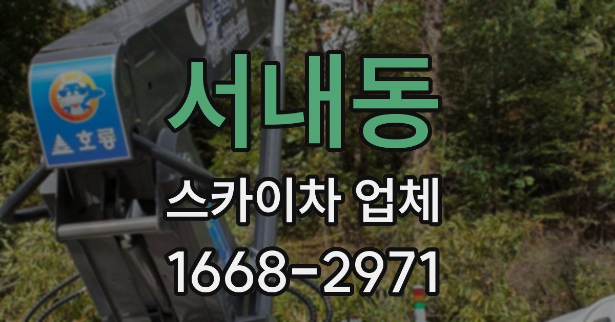 서내동 스카이차 업체