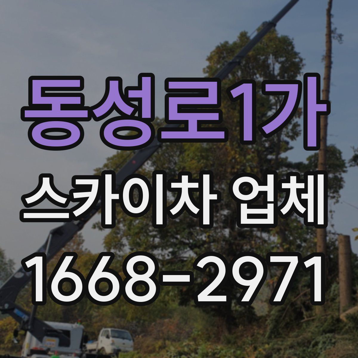 동성로1가 스카이차 업체