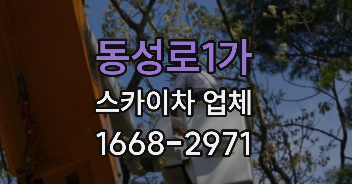 동성로1가 스카이차 업체