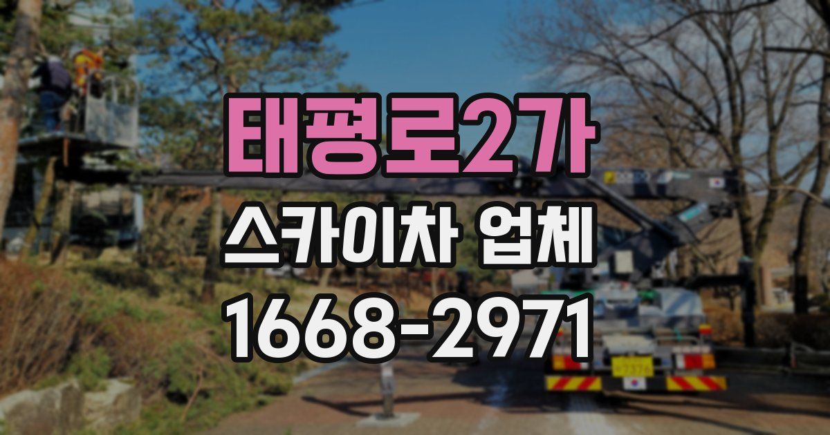 태평로2가 스카이차 업체