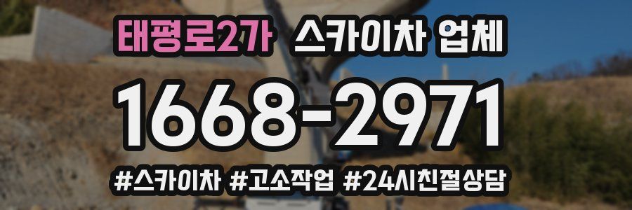 태평로2가 스카이차 업체