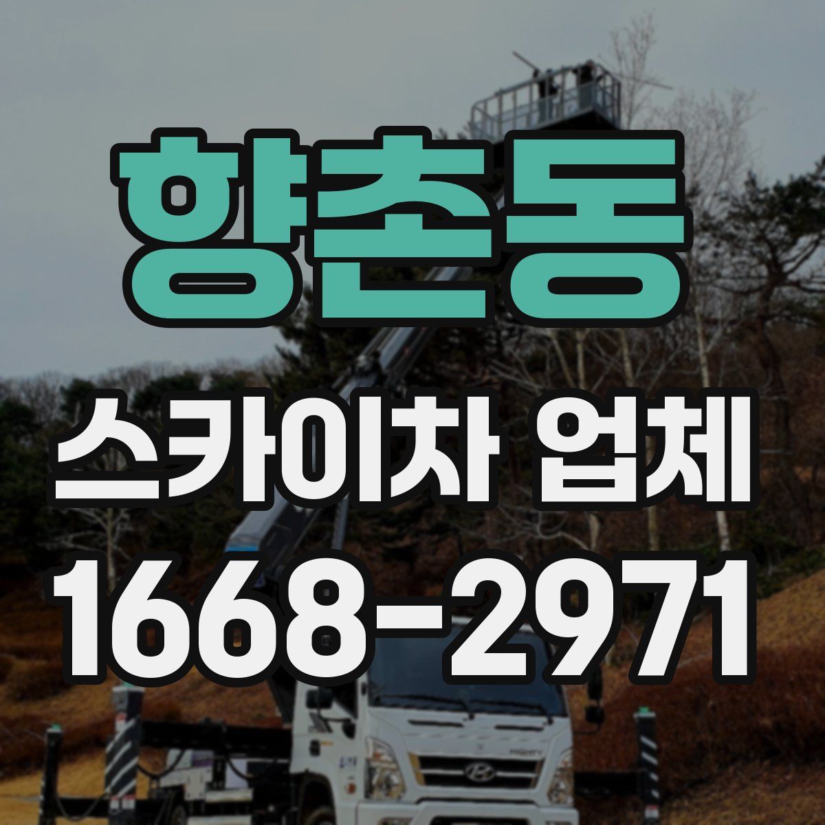 향촌동 스카이차 업체