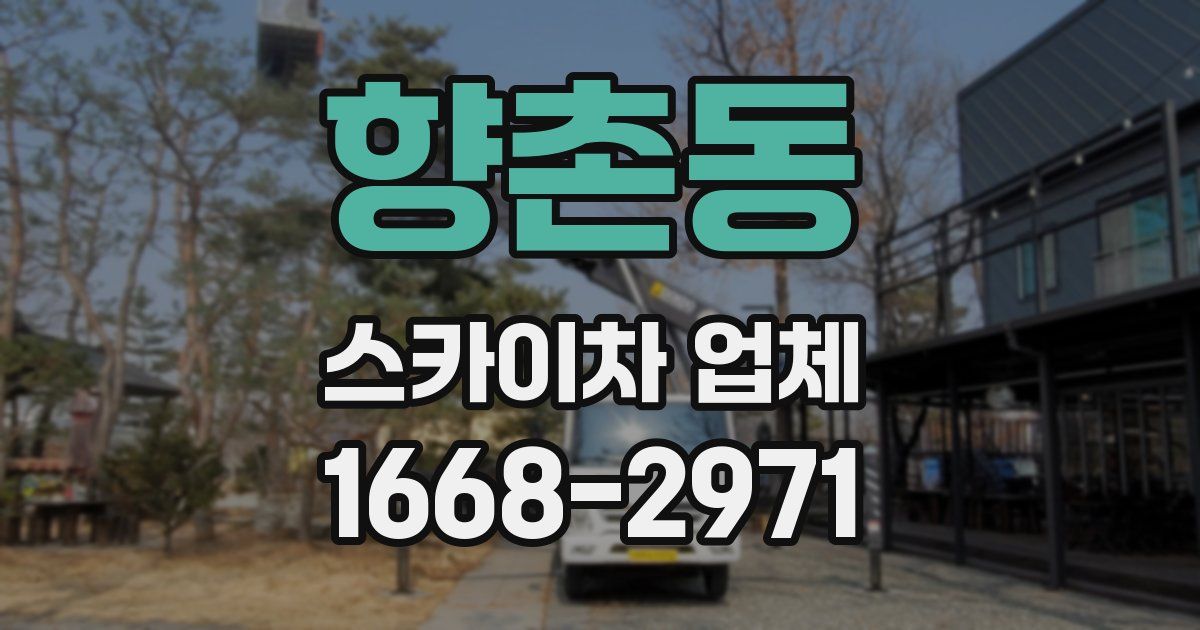 향촌동 스카이차 업체