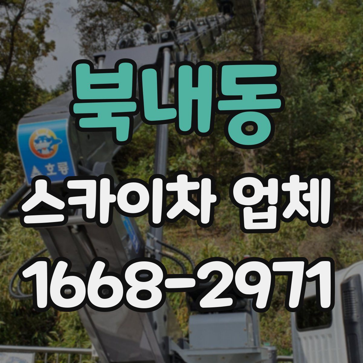 북내동 스카이차 업체