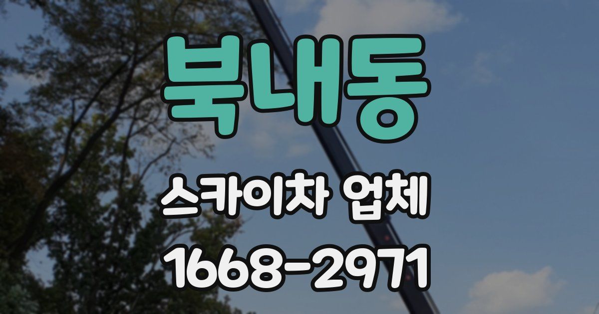 북내동 스카이차 업체
