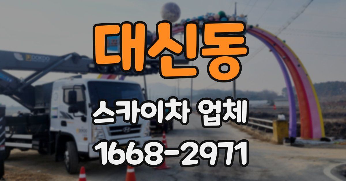 대신동 스카이차 업체