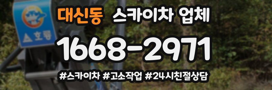 대신동 스카이차 업체