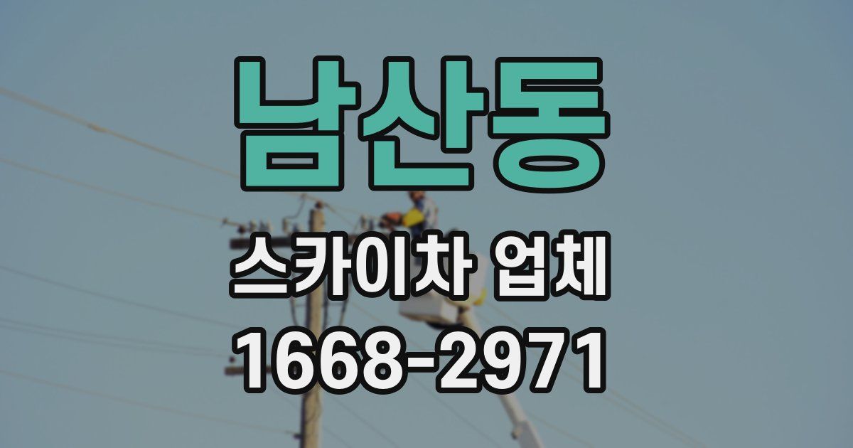 남산동 스카이차 업체