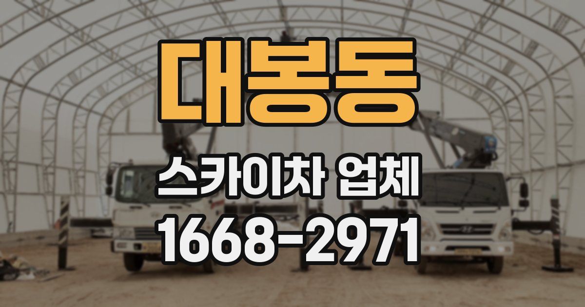대봉동 스카이차 업체