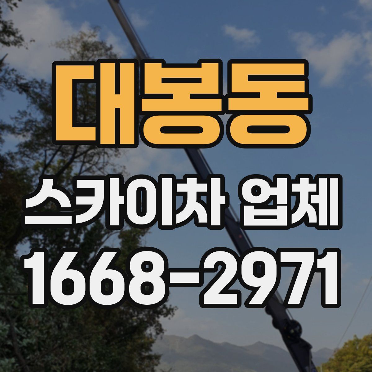 대봉동 스카이차 업체