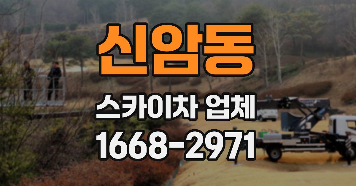 신암동 스카이차 업체