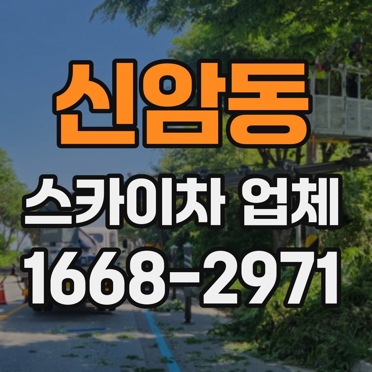 신암동 스카이차 업체