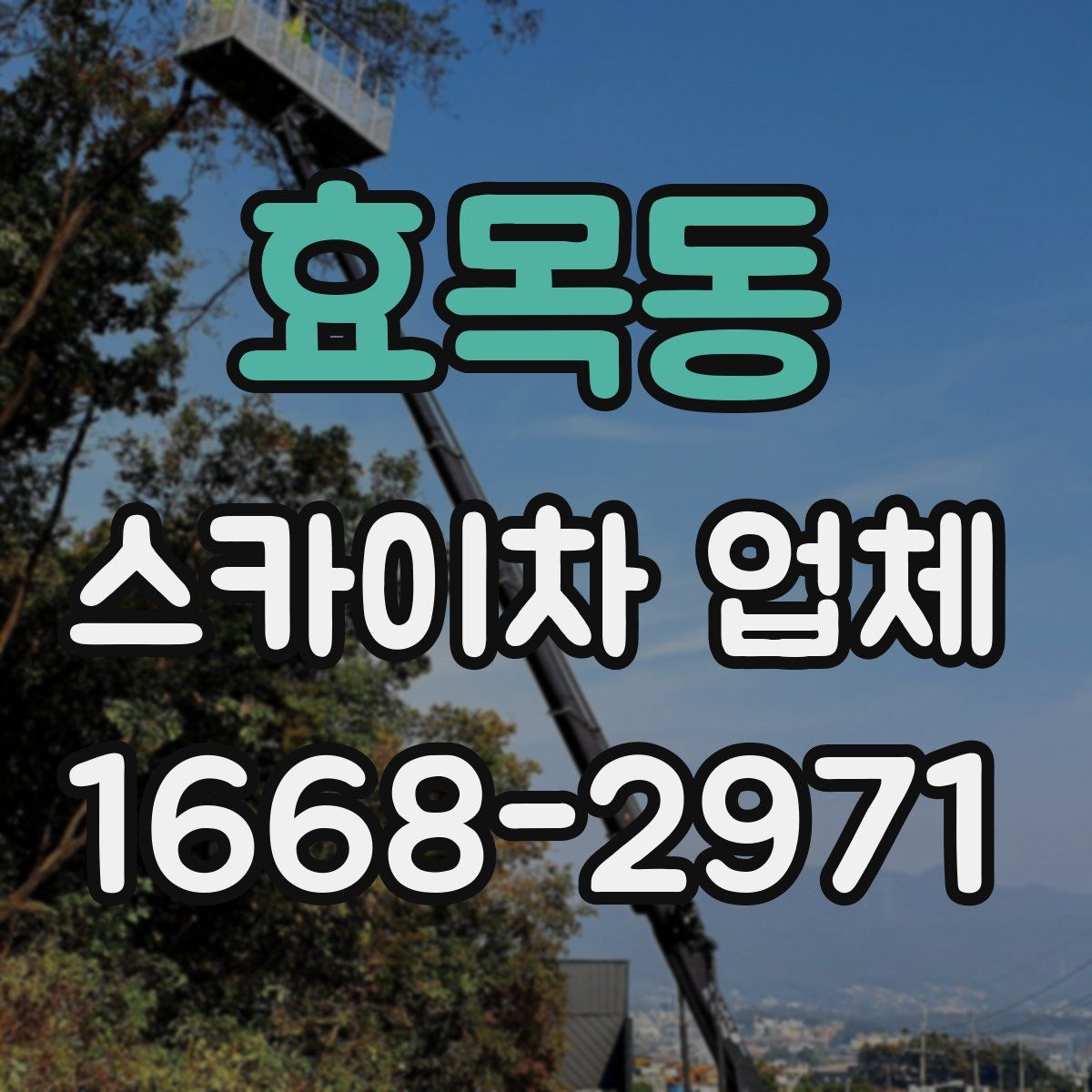 효목동 스카이차 업체