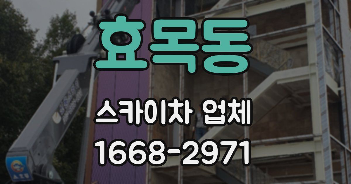 효목동 스카이차 업체