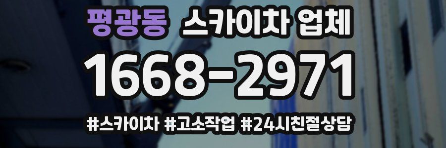 평광동 스카이차 업체