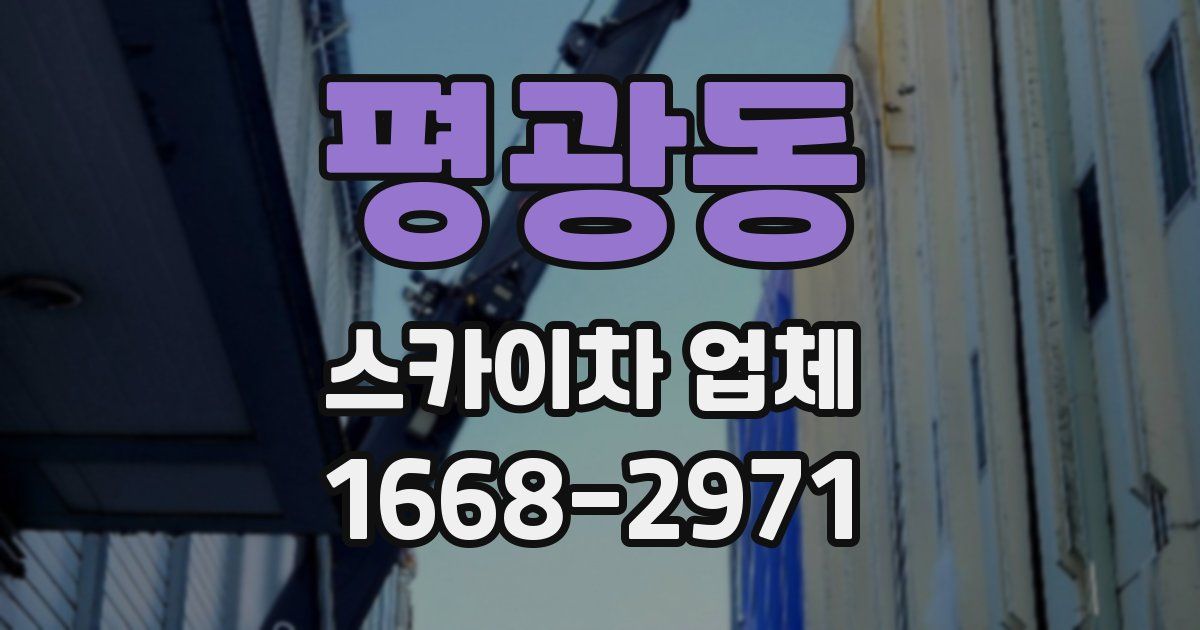 평광동 스카이차 업체