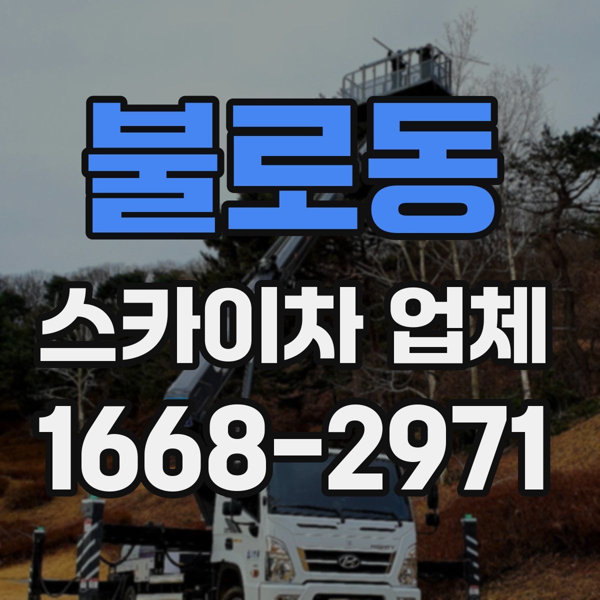 불로동 스카이차 업체