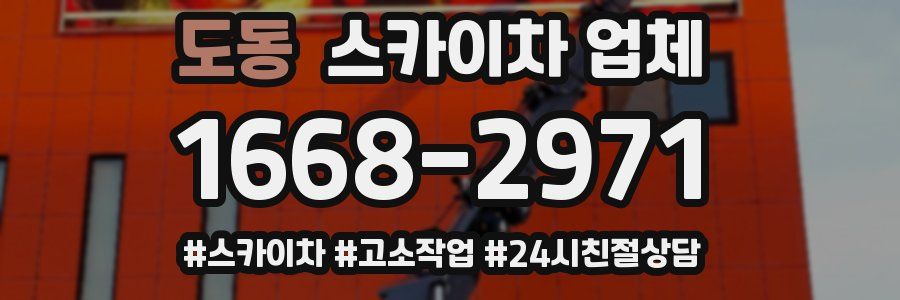 도동 스카이차 업체