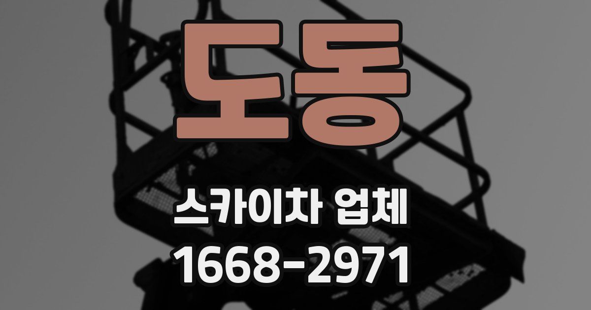 도동 스카이차 업체