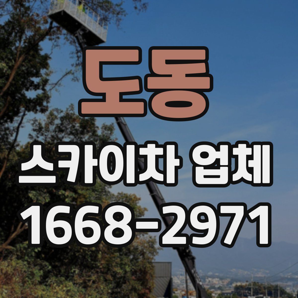 도동 스카이차 업체