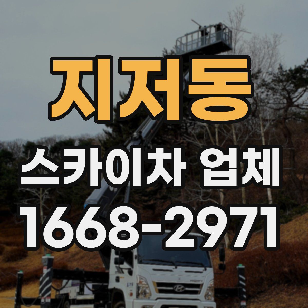 지저동 스카이차 업체