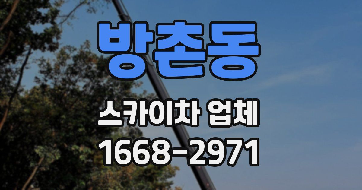 방촌동 스카이차 업체