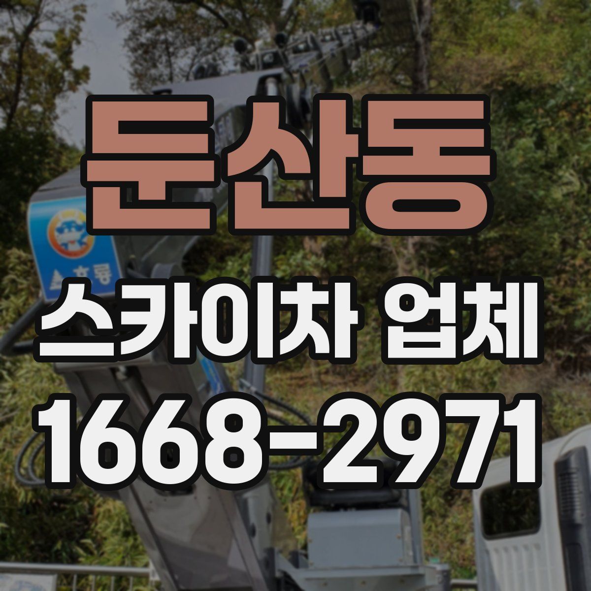 둔산동 스카이차 업체