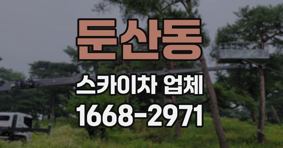 둔산동 스카이차 업체