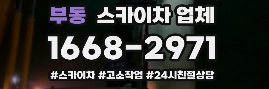 부동 스카이차 업체