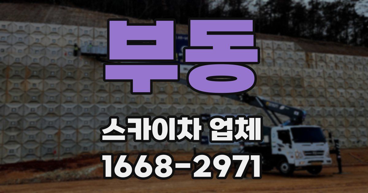 부동 스카이차 업체