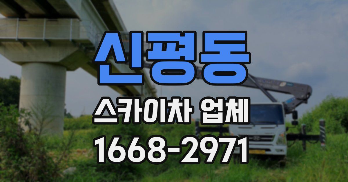 신평동 스카이차 업체