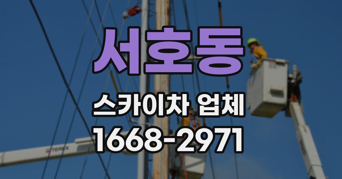 서호동 스카이차 업체