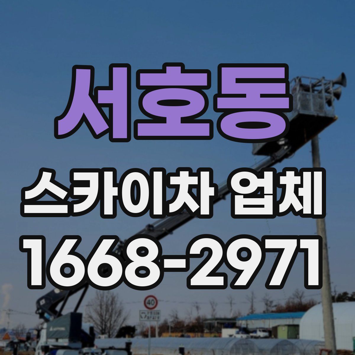 서호동 스카이차 업체