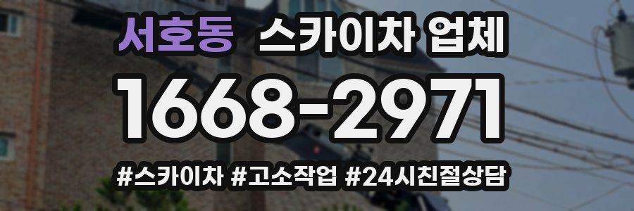 서호동 스카이차 업체