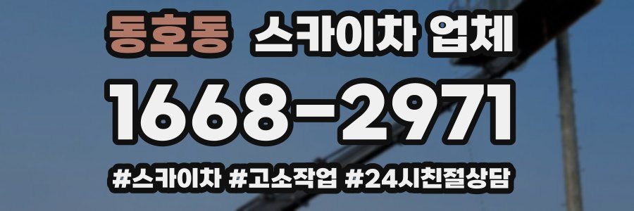 동호동 스카이차 업체