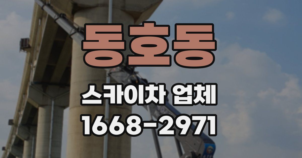 동호동 스카이차 업체