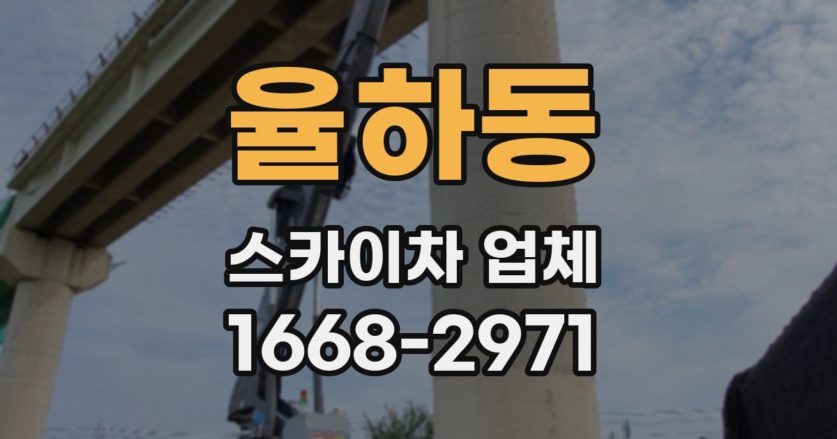 율하동 스카이차 업체