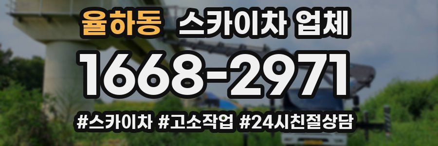 율하동 스카이차 업체