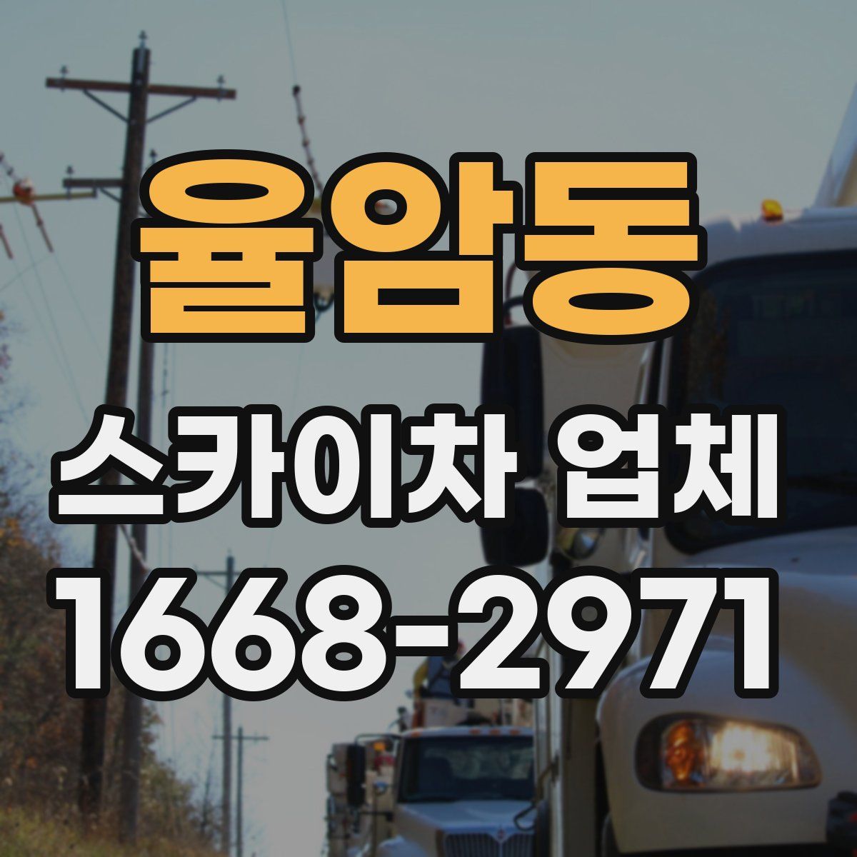 율암동 스카이차 업체