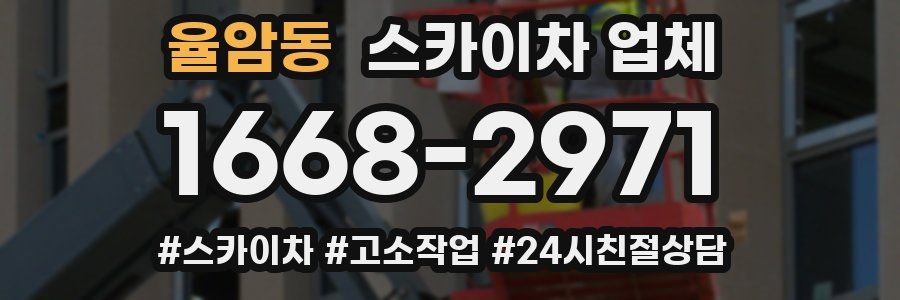 율암동 스카이차 업체