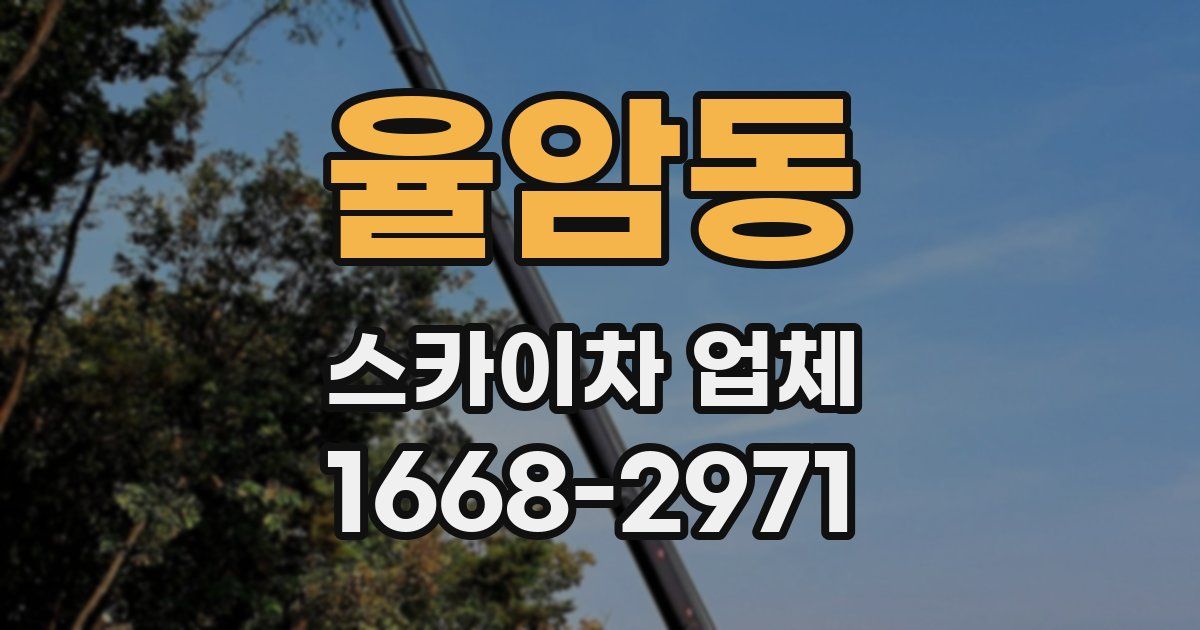 율암동 스카이차 업체
