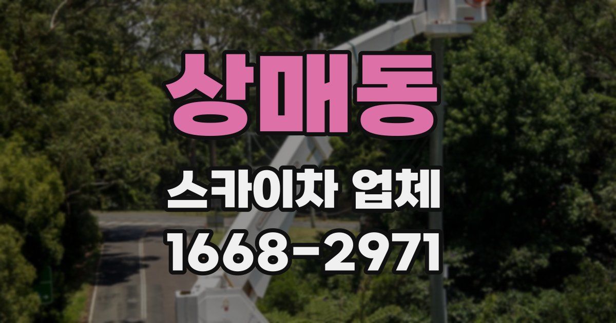상매동 스카이차 업체