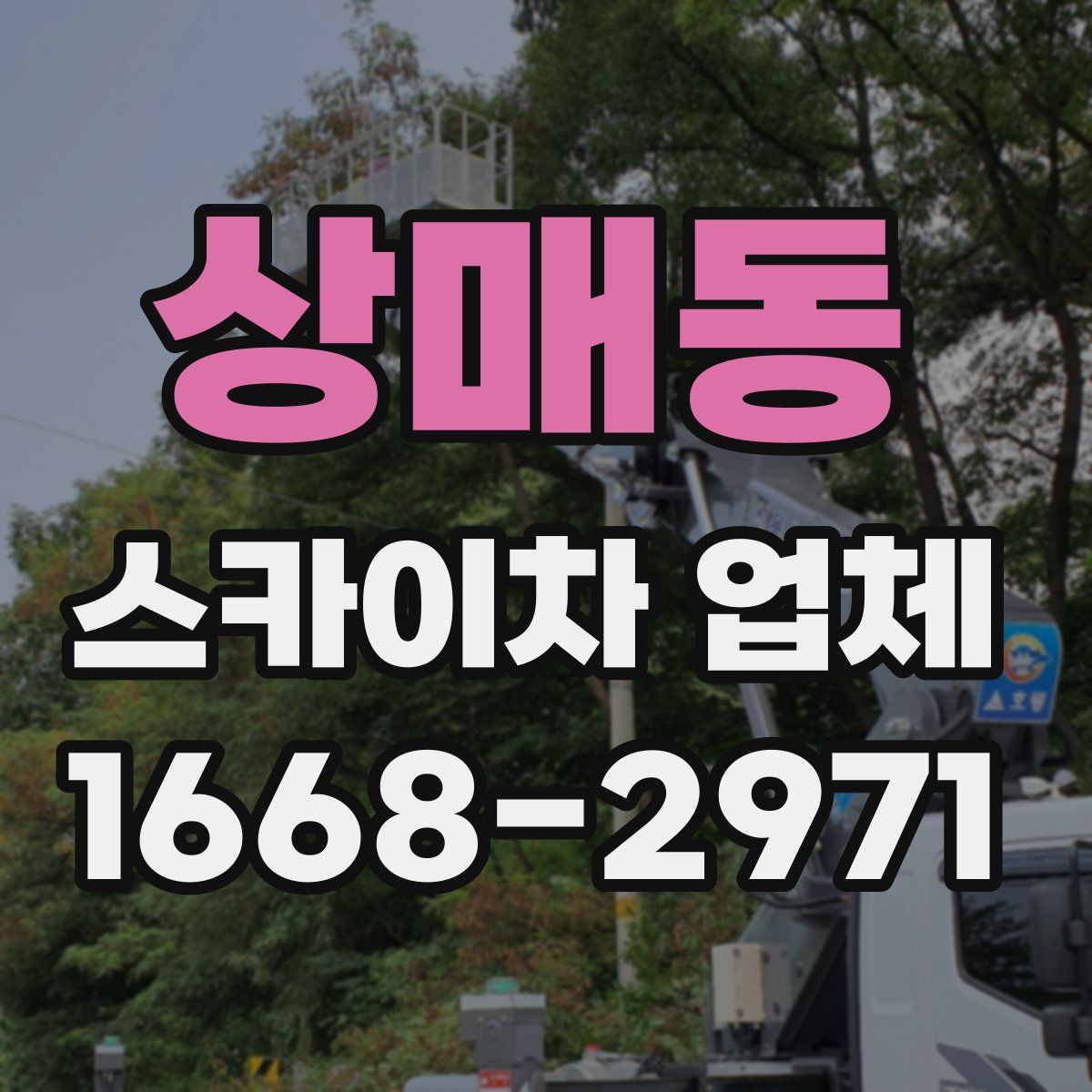 상매동 스카이차 업체