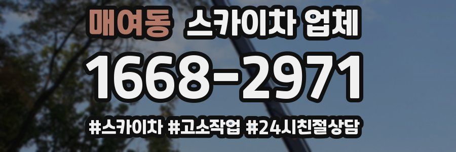 매여동 스카이차 업체