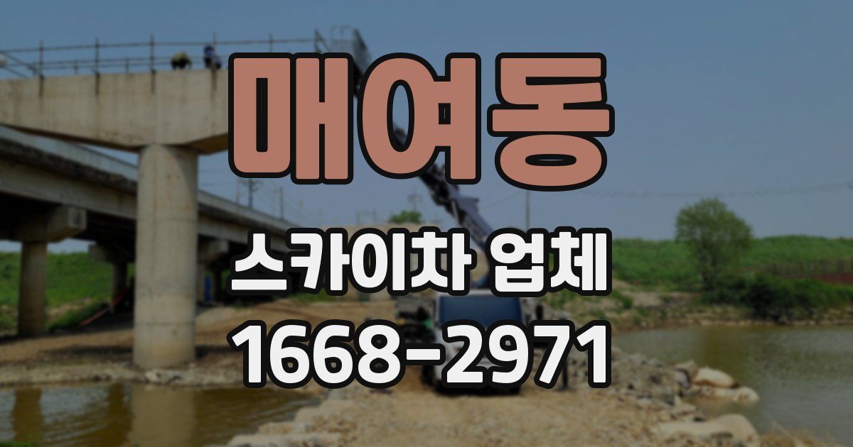 매여동 스카이차 업체