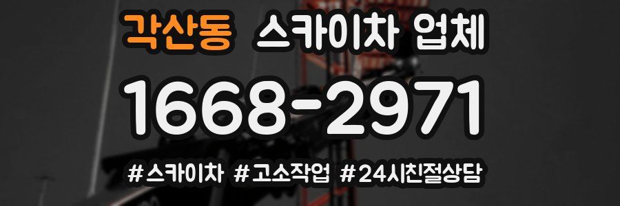 각산동 스카이차 업체