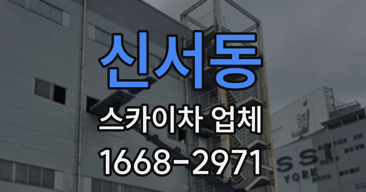신서동 스카이차 업체