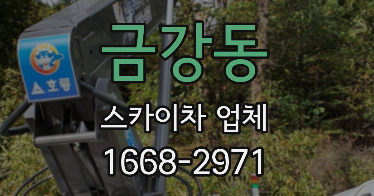 금강동 스카이차 업체