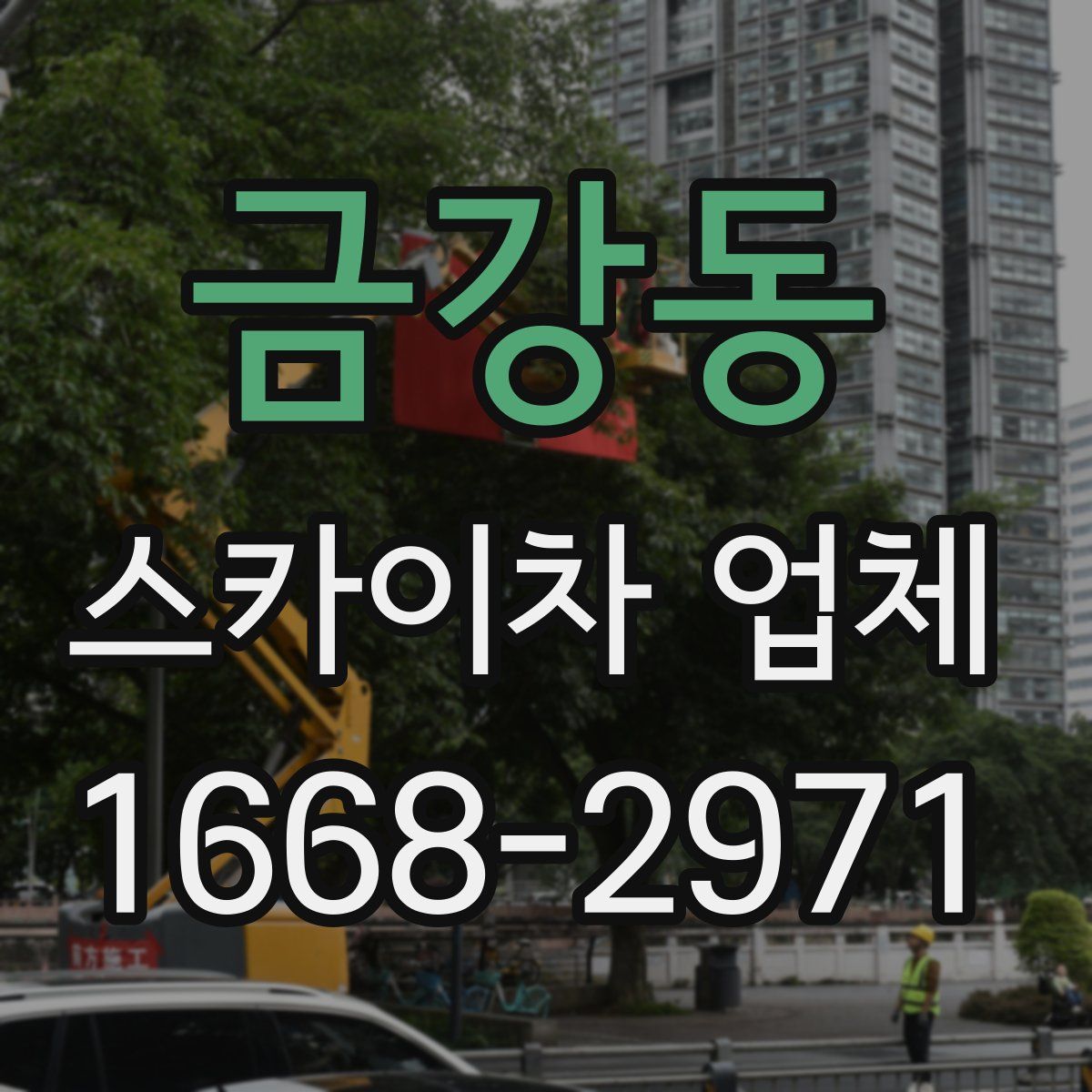 금강동 스카이차 업체